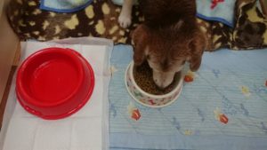 朝のお時間 2019/12/22