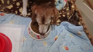 送迎中 2019/12/22