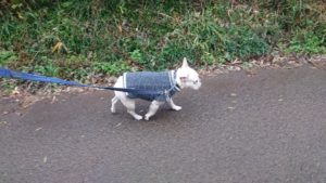 朝のお時間 2019/12/23