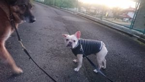 夜のお時間 2019/12/23