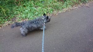 朝のお時間 2019/12/24