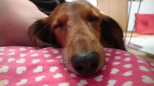 昼のお時間 2019/12/24