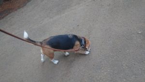 朝のお時間 2019/12/25