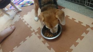 昼のお時間 2019/12/25