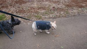 朝のお時間 2019/12/26