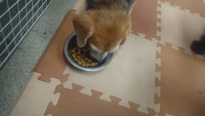 お昼のお時間 2019/12/26