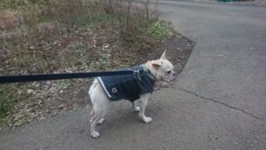 夜のお時間 2019/12/26