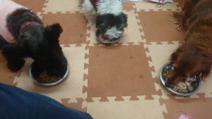 朝のお時間 2019/12/27