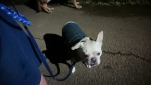 夜のお時間 2019/12/27