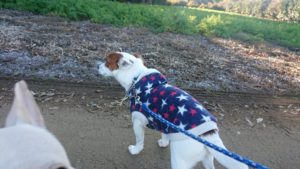 朝のお時間 2019/12/28