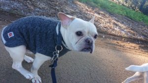 朝のお時間2019/12/29