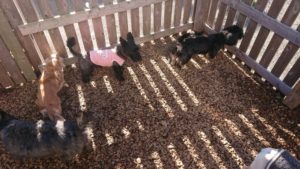 昼のお時間 2019/12/28