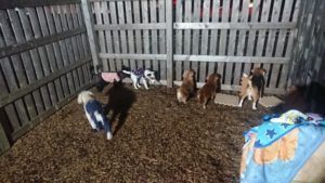 夜のお時間 2019/12/28