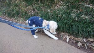 朝のお時間 2019/12/30