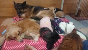 昼のお時間 2019/12/29