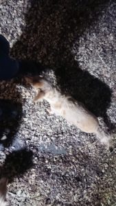 夜のお時間 2019/12/29