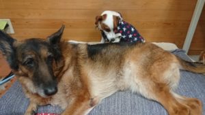 午後のお時間 2019/12/30