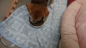 夜のお時間 2019/12/30