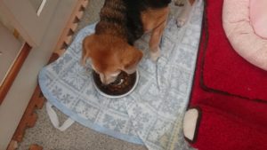 朝のお時間 2019/12/31