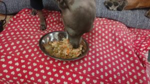 昼のお時間 2019/12/31