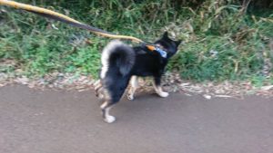 大晦日 2019/12/31