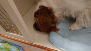 朝のお時間 2020/1/1