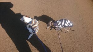 昼のお時間 2020/1/1