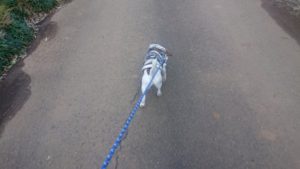 夜のお時間 2020/1/2