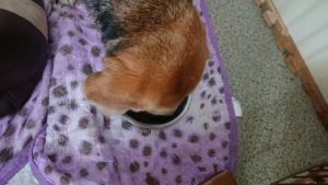 朝のお時間 2020/1/2