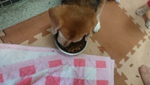 昼のお時間 2020/1/2