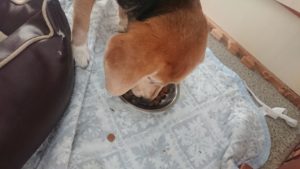 朝のお時間 2020/1/3