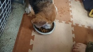 昼のお時間 2020/1/3