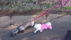 夜のお時間と報告 2020/1/3