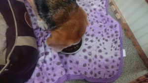 朝のお時間 2020/1/4