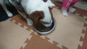 夜のお時間 2020/1/4