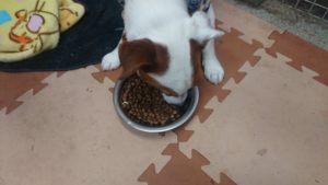 朝のお時間 2020/1/5