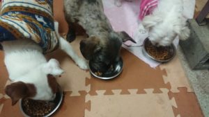 夜のお時間 2020/1/5