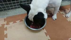 朝のお時間 2020/1/6