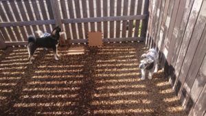 昼のお時間 2020/1/6