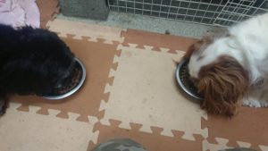 夜のお時間 2020/1/6