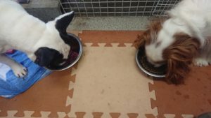 朝のお時間 2020/1/7