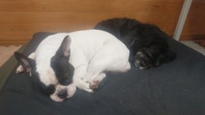 昼のお時間 2020/1/7