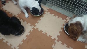 夜のお時間 2020/1/7