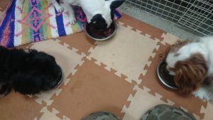 朝のお時間 2020/1/8