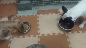 夜のお時間 2020/1/8