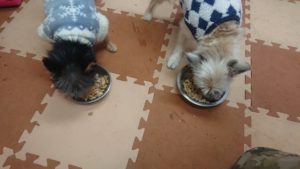 朝のお時間 2020/1/9