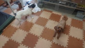 昼のお時間 2020/1/9