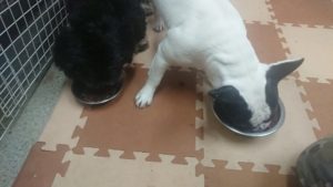 夜のお時間 2020/1/9