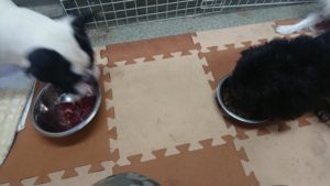 朝のお時間 2020/1/10