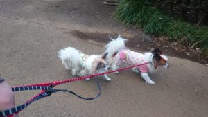 夜のお時間 2020/1/10